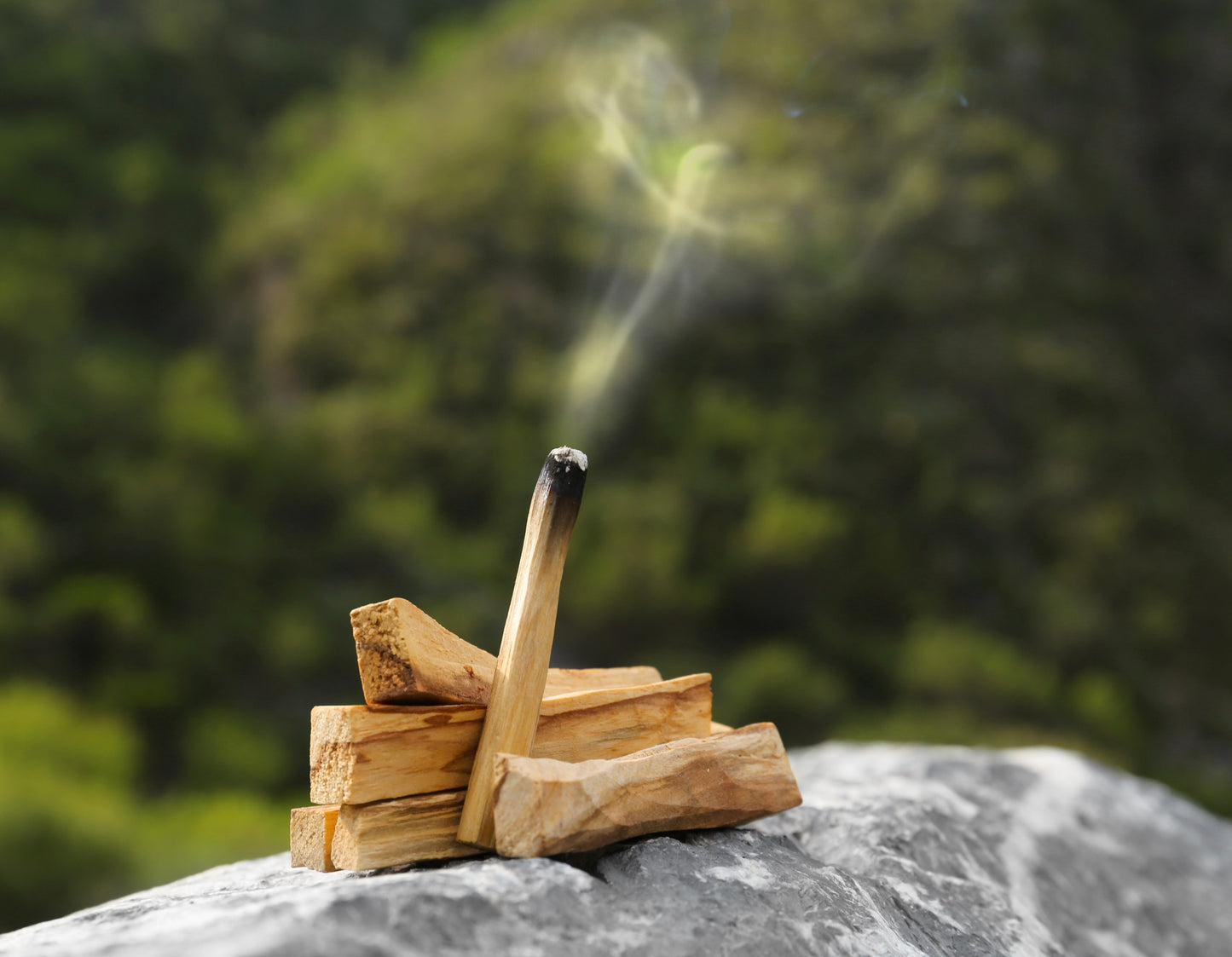 Palo Santo Stick from Peru