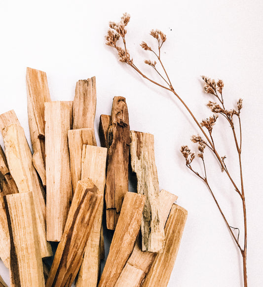 Palo Santo Stick from Peru